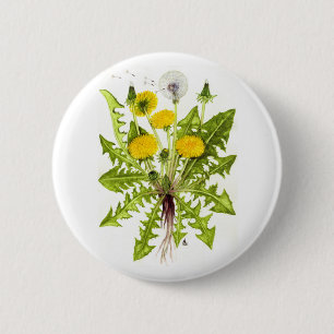 The Dandelion Collection 2 Inch Round Button