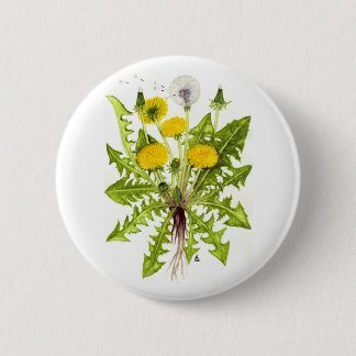 The Dandelion Collection 2 Inch Round Button