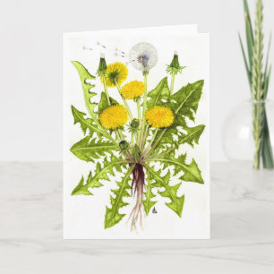 The Dandelion Collection Card
