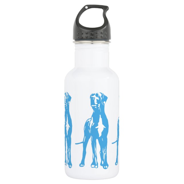 The Dane 532 Ml Water Bottle (Front)