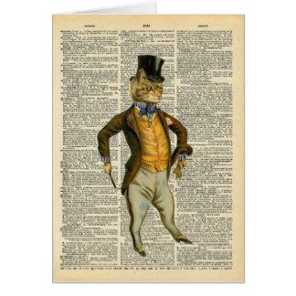 The dapper cat