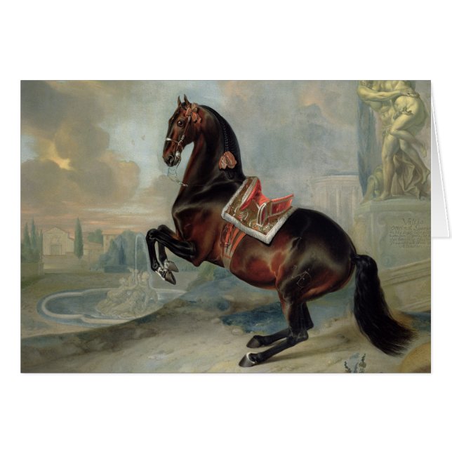 The dark bay horse 'Valido' (Front Horizontal)