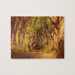 The Dark Hedges Antrim Ireland. Jigsaw Puzzle