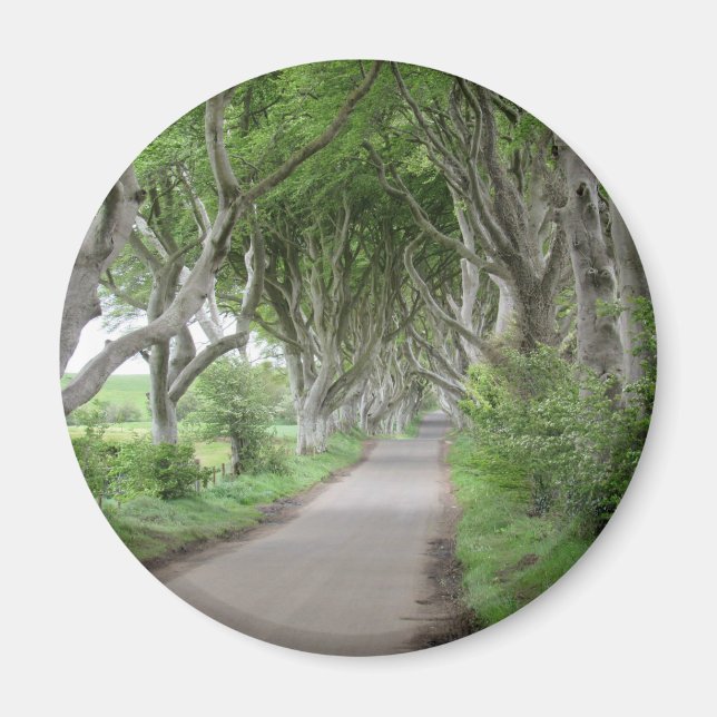 The Dark Hedges Magnet (Front)