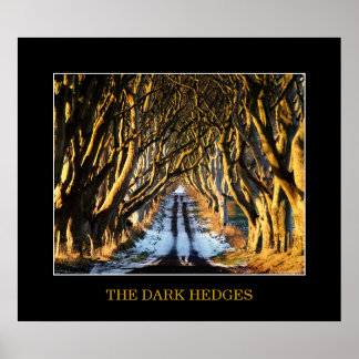 The Dark Hedges Poster