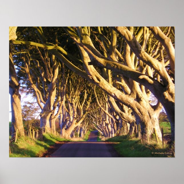 The Dark Hedges Print (Front)