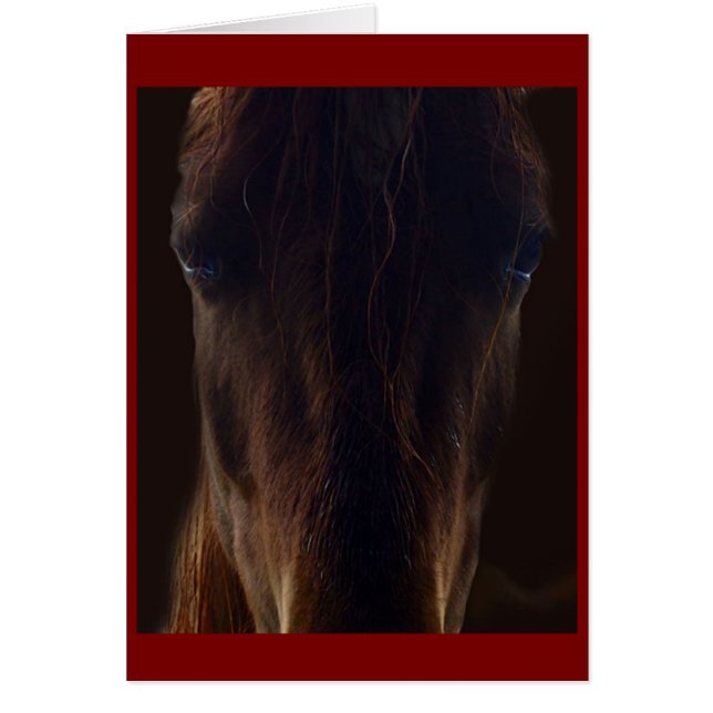 The dark horse card (Devant)