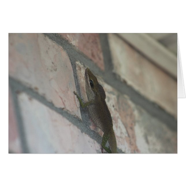 The Dark Lizard (Front Horizontal)