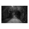The dark road