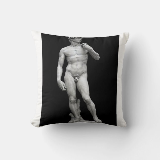 THE DAVID THROW PILLOW (Front)
