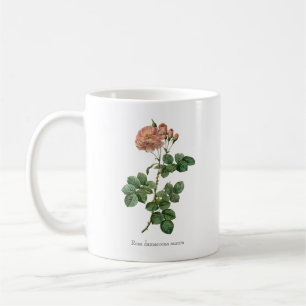 The Dawn's Blush: Rosa damascena 'Aurora' Mug