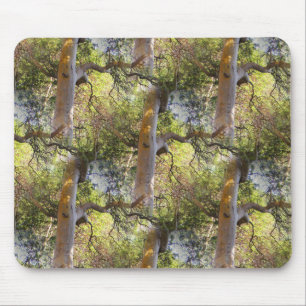 The Day of the Trees... Mouse Pad