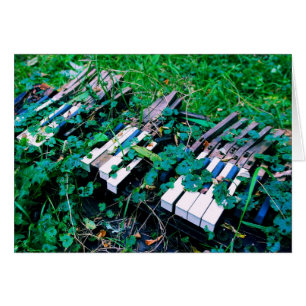 The Day the Music Died