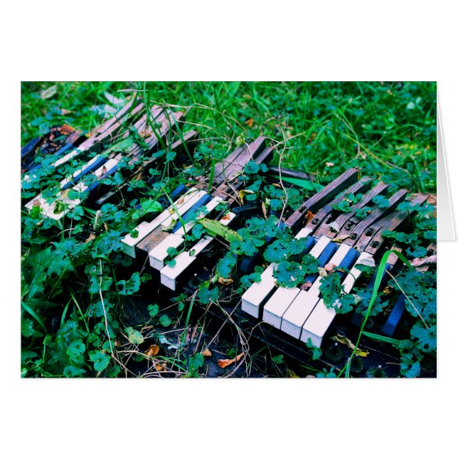 The Day the Music Died (Devant horizontal)