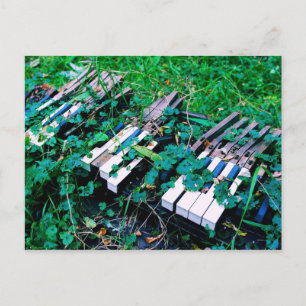 "The Day the Music Died" - Piano - Postcard