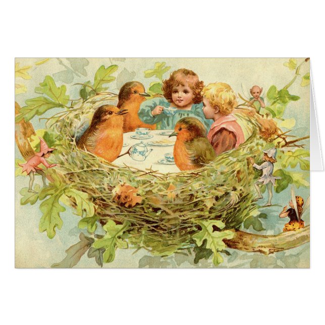 Thé de cime d'arbre (Devant horizontal)