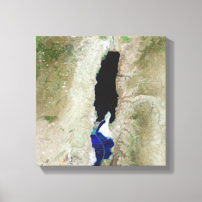 The Dead Sea Canvas Print (Front)