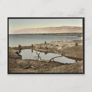 The Dead Sea, II, Jericho, Holy Land, (i.e., West Postcard