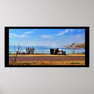 The Dead Sea Poster