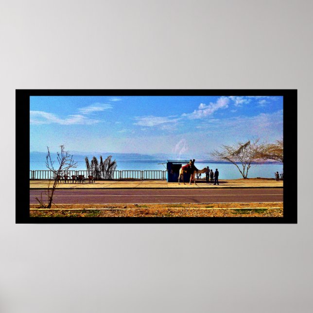The Dead Sea Poster (Front)