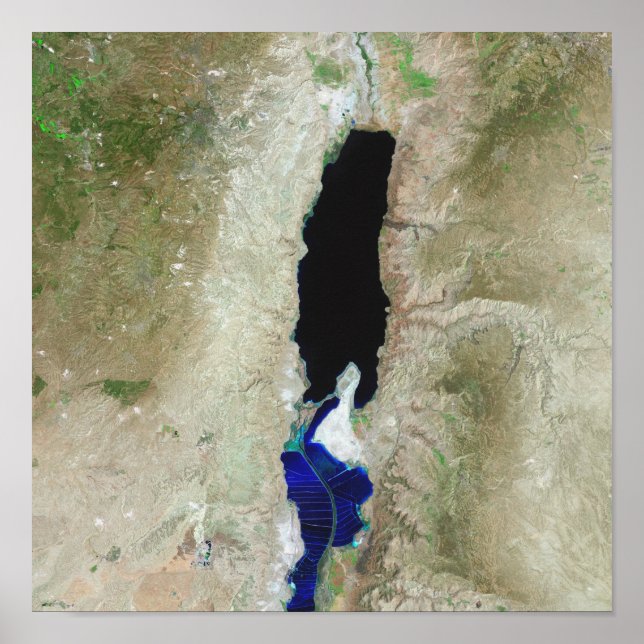 The Dead Sea Poster (Front)
