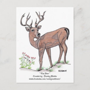 " The Deer " Postcard