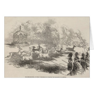 The Deer Shooting at Gotha