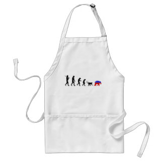 The Democratic Theory of Devolution Standard Apron