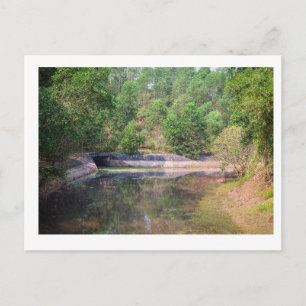 The dense jungle that surrounds MySon in Vietnam Postcard