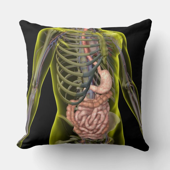 The Digestive System Throw Pillow (Front)