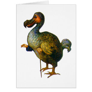 The Dodo Bird