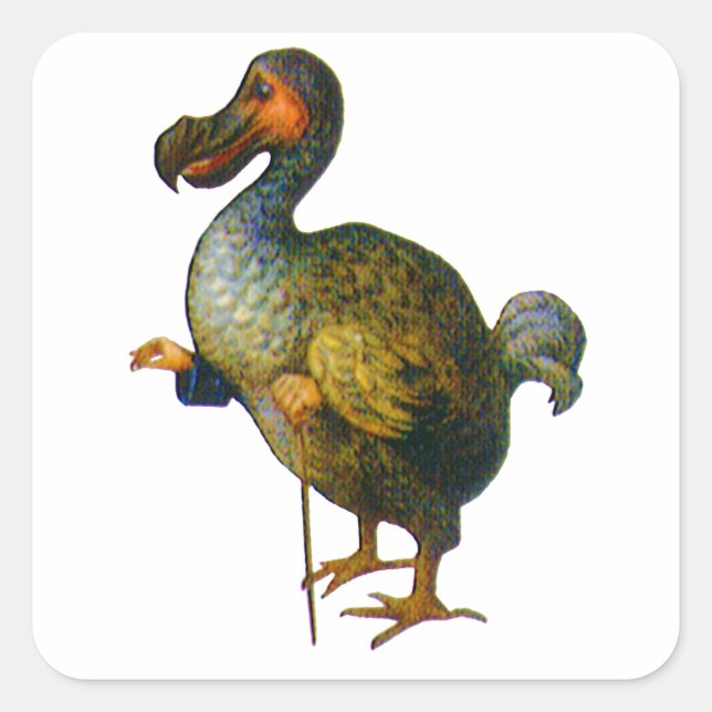 The Dodo Bird From Alice in Wonderland Square Sticker (Front)