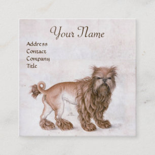 THE DOG / Affenpinscher/ Veterinary,Veterinarian Square Business Card