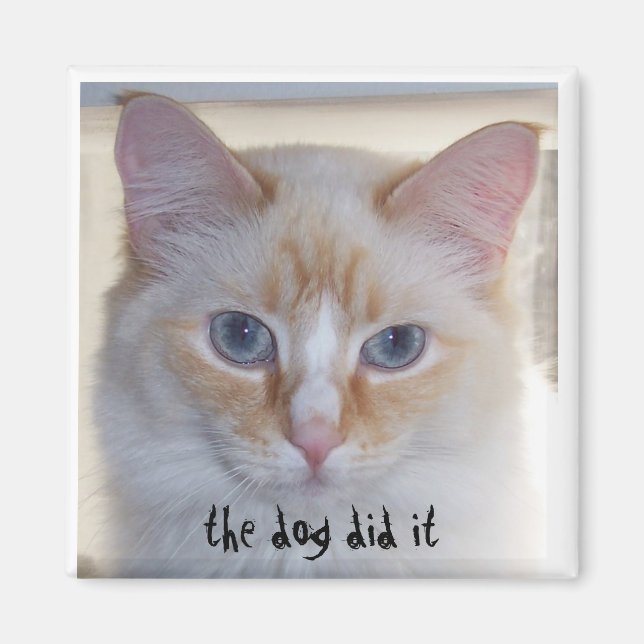 THE DOG DID IT MAGNET (Front)
