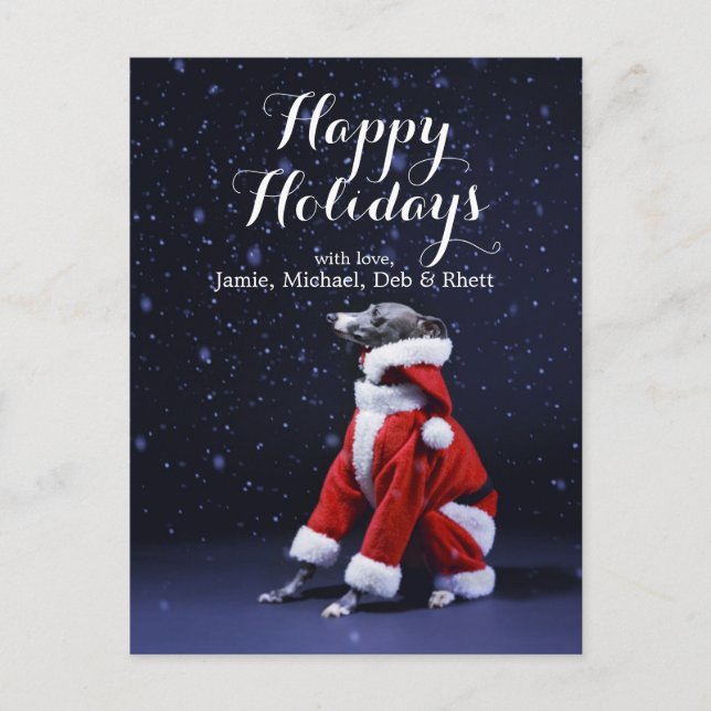 The dog sits putting on Father Christmas Holiday Postcard (Front)