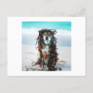The dog with Seaweed in her hair Holiday Postcard