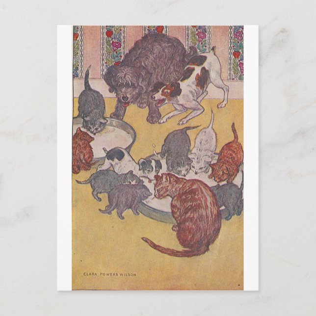 The Dogs and Cats Eat in the House Postcard (Front)
