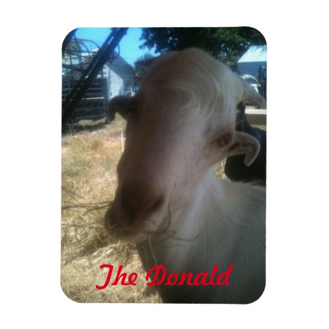 The Donald Magnet (Vertical)