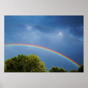 THE  DOUBLE RAINBOW print