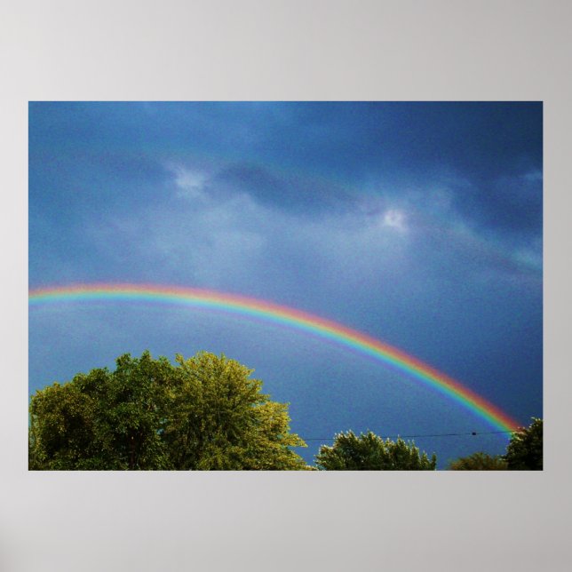 THE  DOUBLE RAINBOW print (Front)