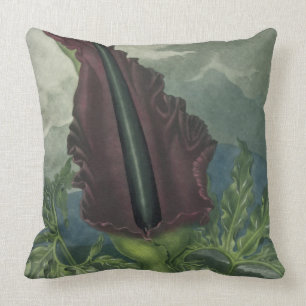 The Dragon Arum, engraved by Ward, from 'The Templ Throw Pillow
