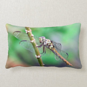 The Dragonfly Pillow
