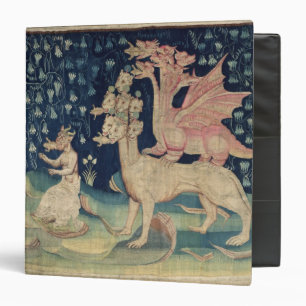 The Dragons Vomiting Frogs Binder