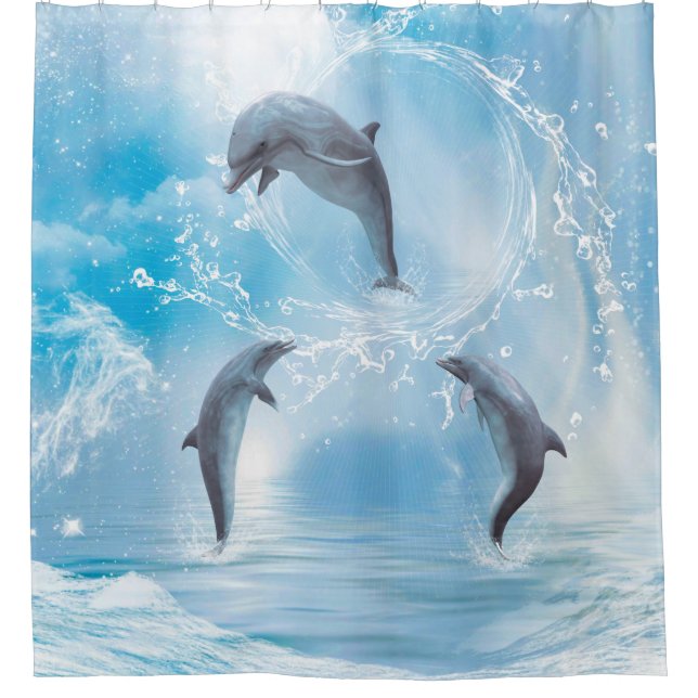 The Dreams Of Dolphins (Front)