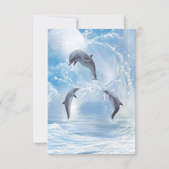 The Dreams Of Dolphins (Front)