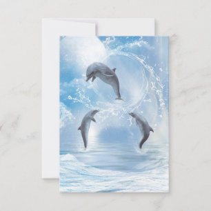 The Dreams Of Dolphins