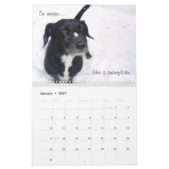 The Duchess of York County Calendar (Jan 2027)