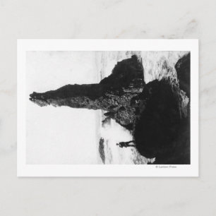 The Duchess Rock at Newport, Oregon Postcard