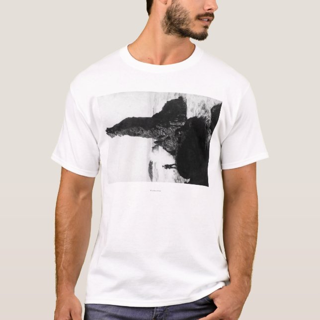 The Duchess Rock at Newport, Oregon T-Shirt (Front)