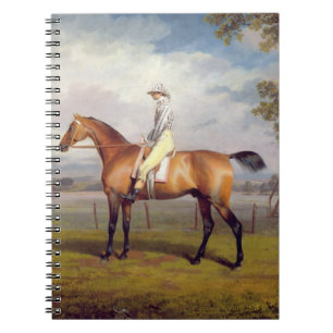The Duke of Hamilton's Disguise with Jockey Up (oi Notebook